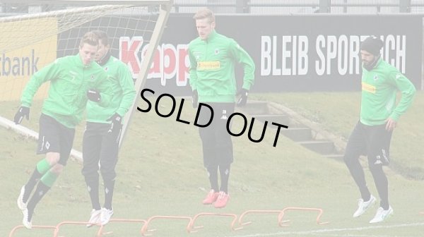 画像6: ボルシアMG14/15 ラファエル  トレーニングZIP　選手実使用