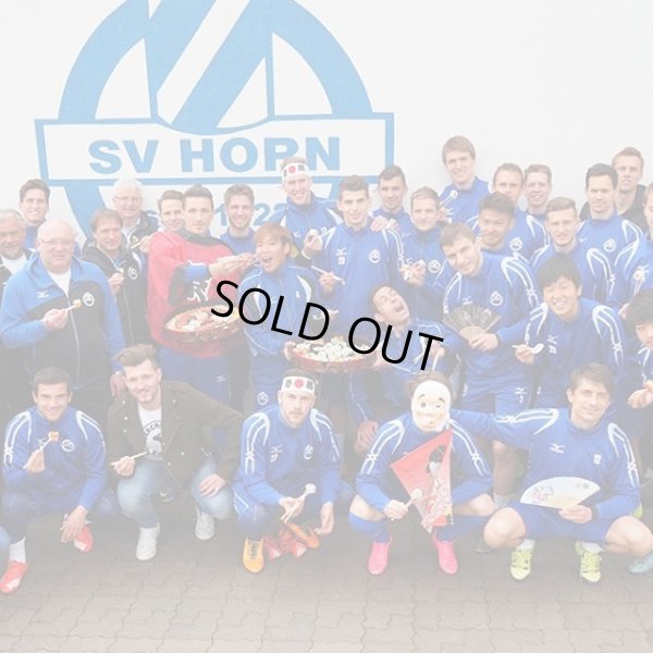 画像6: SVホルン15/16?#24　ジャージ　選手実支給品　L　mizuno