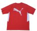 画像2: フォルトゥナ・デュッセルドルフ 2010/11 トレーニングシャツ #15 パトリック・ズンディ 選手実使用 Mサイズ puma (2)