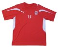 フォルトゥナ・デュッセルドルフ 2010/11 トレーニングシャツ #15 パトリック・ズンディ 選手実使用 Mサイズ puma