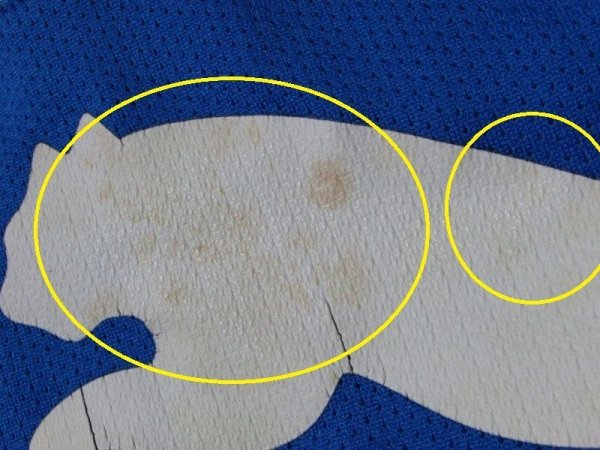 画像5: ホッフェンハイム 2011/12 トレーニングシャツ アンドレアス・ベック 選手実使用品 Lサイズ puma