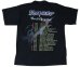 画像2: RHAPSODY POWER OF THE DRAGONFLAME 2002 ヨーロッパ＆ジャパンツアーTシャツ Lサイズ？ ヴィンテージTシャツ (2)